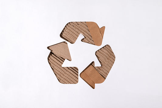 Embracing the Circular Economy