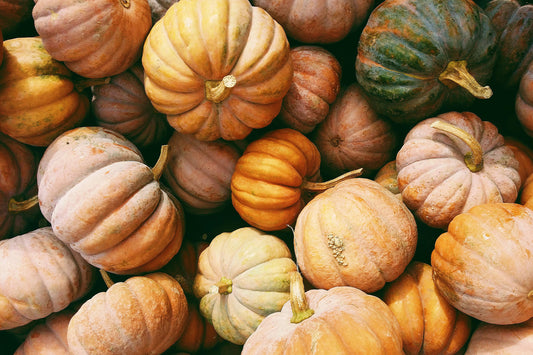 Reducing Pumpkin Waste