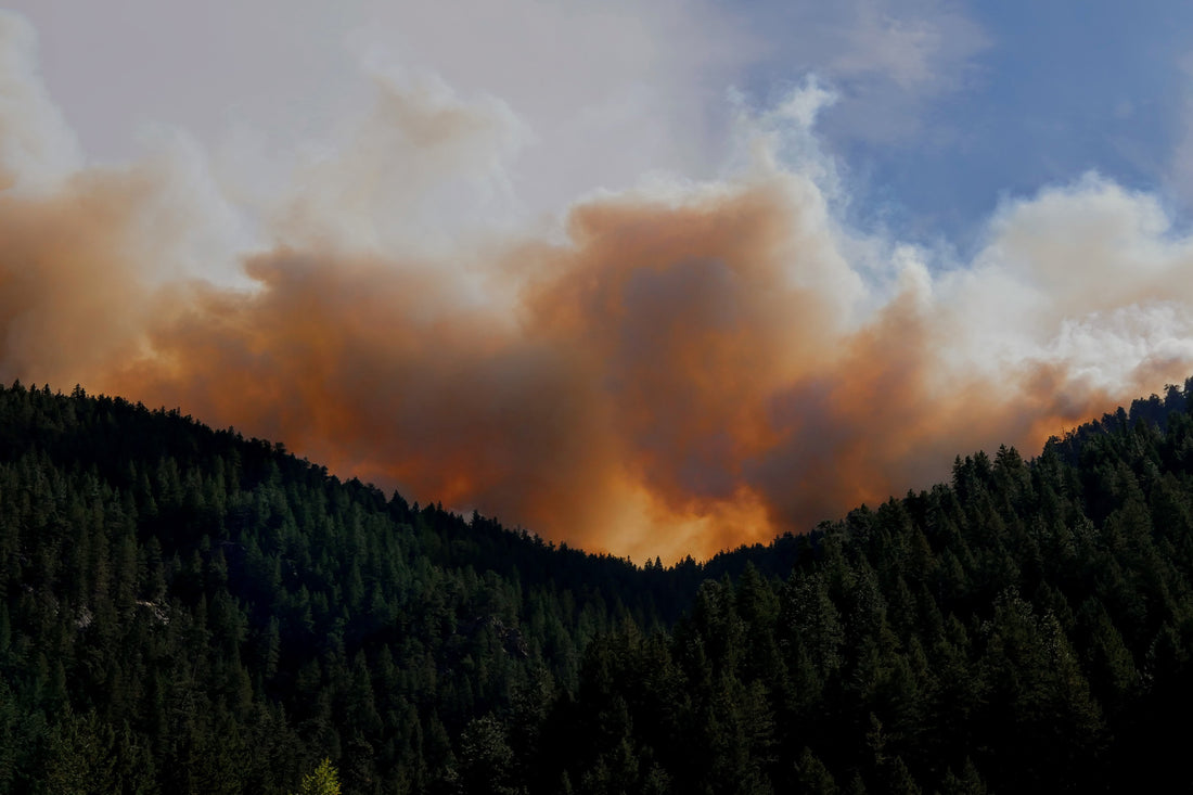 Understanding Wildfires